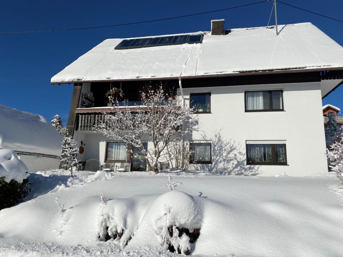 Appartamento Haus Janssen-Wehrle Titisee-Neustadt Esterno foto
