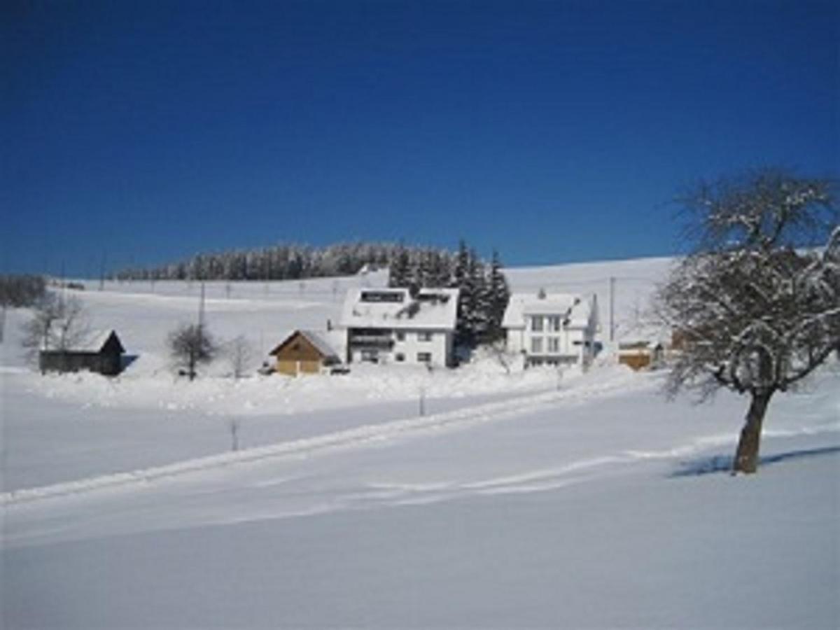 Appartamento Haus Janssen-Wehrle Titisee-Neustadt Esterno foto