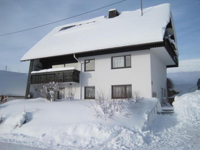 Appartamento Haus Janssen-Wehrle Titisee-Neustadt Esterno foto