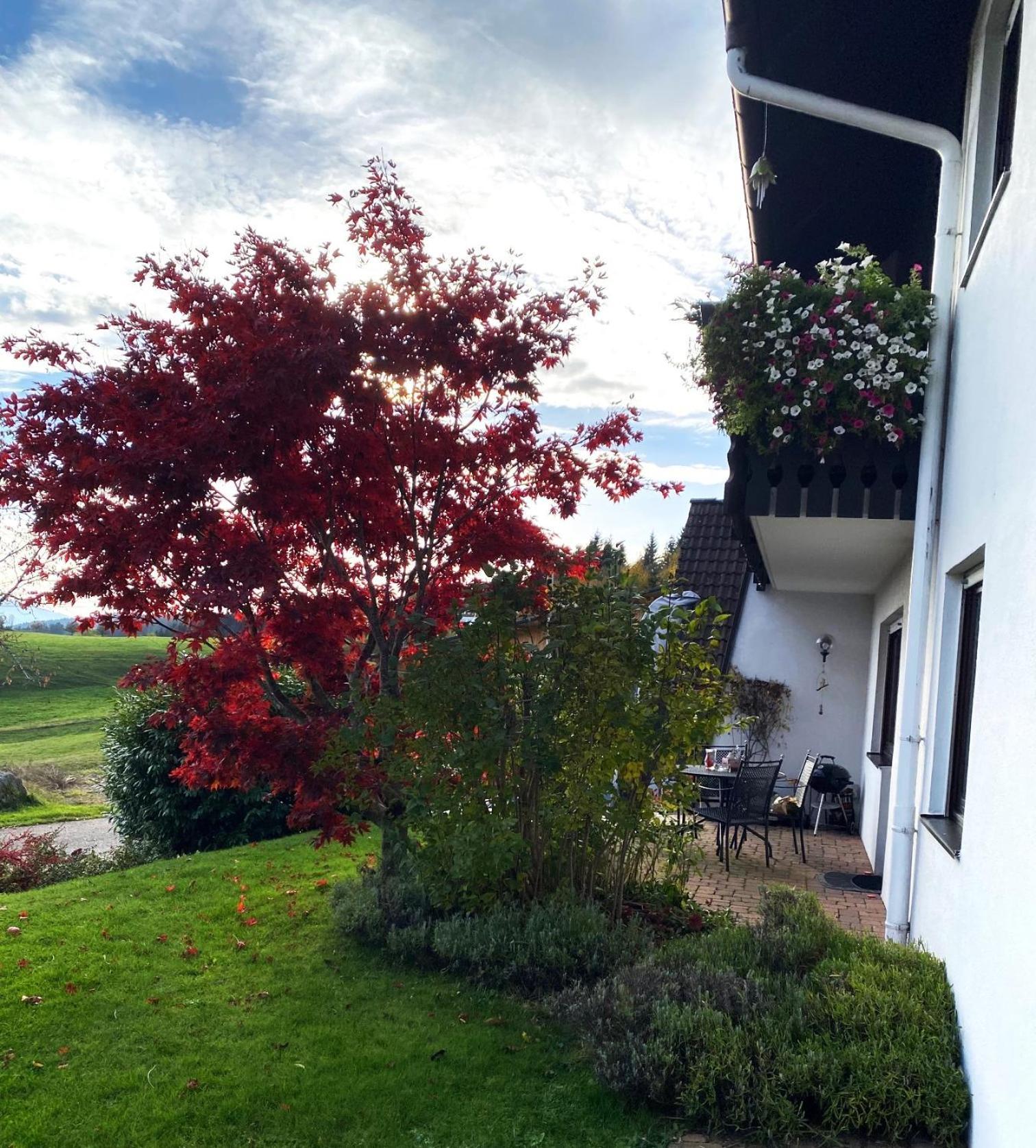 Appartamento Haus Janssen-Wehrle Titisee-Neustadt Esterno foto